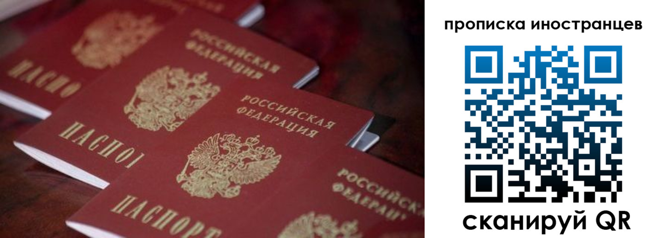 прописка гарантия в Ульяновске
